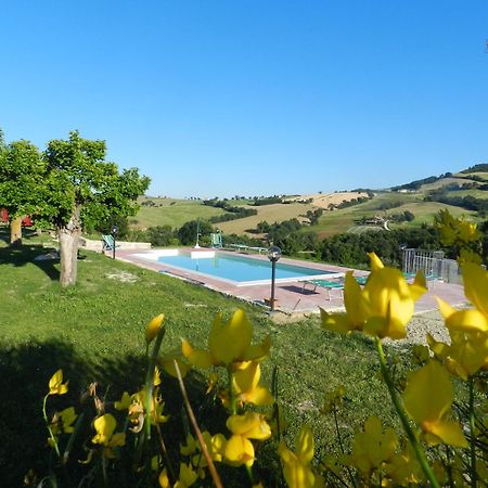 Agriturismo Dai Mori Isola del Piano المظهر الخارجي الصورة