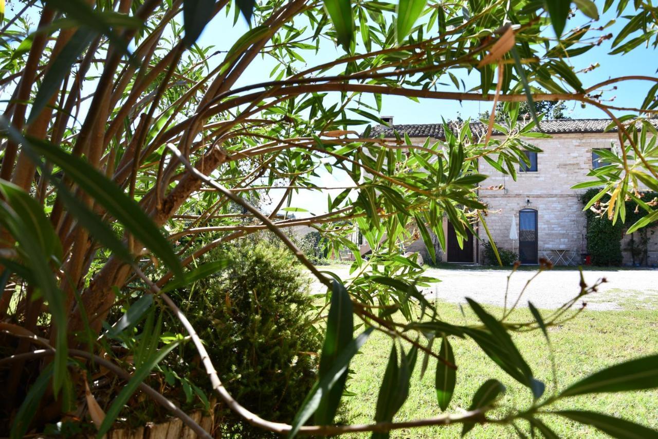 Agriturismo Dai Mori Isola del Piano المظهر الخارجي الصورة