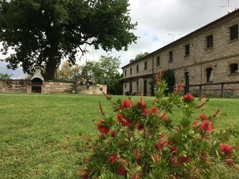 Agriturismo Dai Mori Isola del Piano المظهر الخارجي الصورة